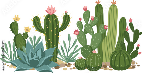Cute cartoon cactus and succulent plants with flowers – desert flora illustration in green tones with pink blooms and rocks.