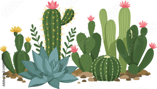 Cute cartoon cactus and succulent plants with flowers – desert flora illustration in green tones with pink blooms and rocks.