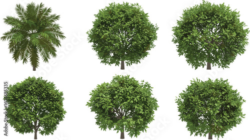 Realistic green trees and tropical palm collection, isolated on white background, perfect for landscape design, nature scenes, and 3D modeling