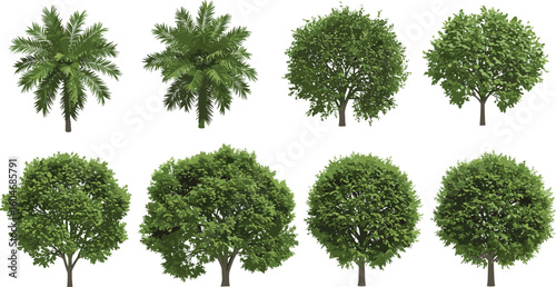 Realistic green trees and tropical palm collection, isolated on white background, perfect for landscape design, nature scenes, and 3D modeling
