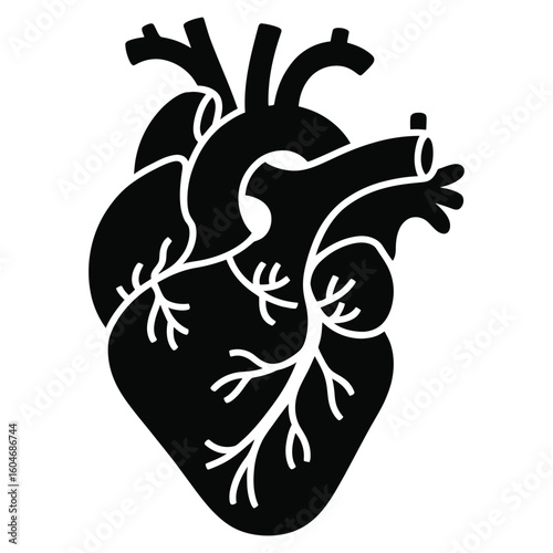 Detailed heart illustration for medical designs and educational materials on health and anatomy