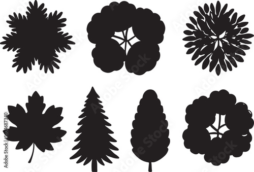Forest canopy silhouettes pine oak birch foliage trees
