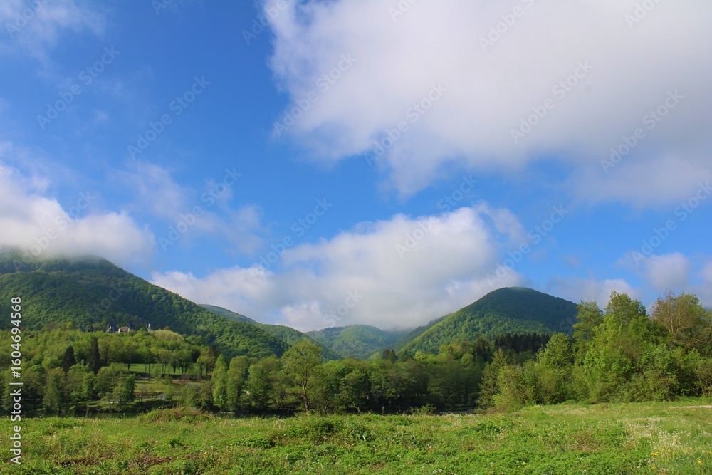 Fototapeta premium mountain landscape in the summer