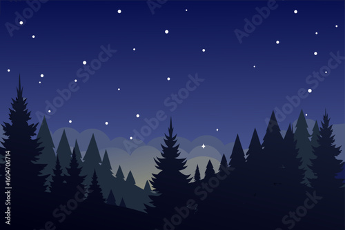 winter night landscape