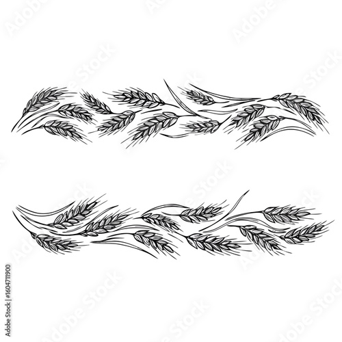 Hand-drawn style wheat branch chapter divider with elegant curves, black and white design, for rustic themes
