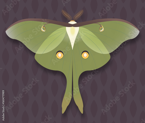 Luna Moth