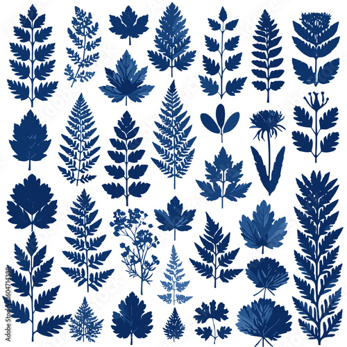Cyanotype botanical collage in indigo blue on white background