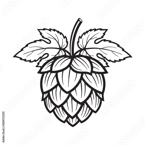 hop engraving vector illustration