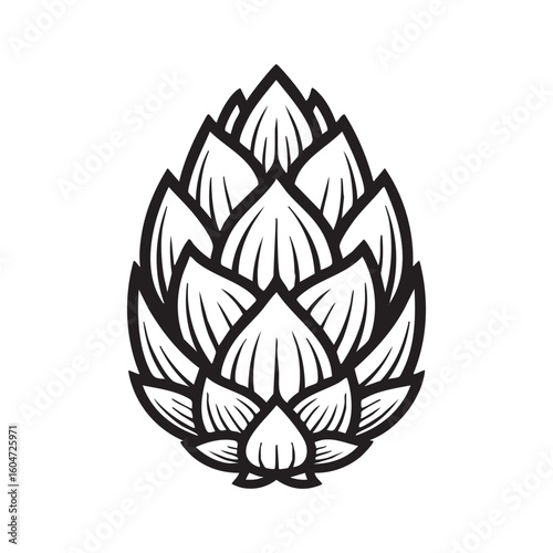 hop engraving vector illustration