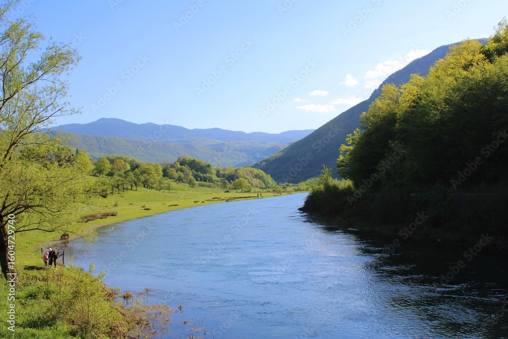 Obraz premium river in the morning
