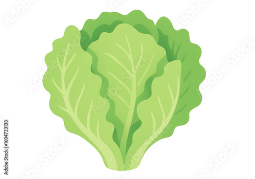 Cartoon Illustration of Green Lettuce Head on White Background