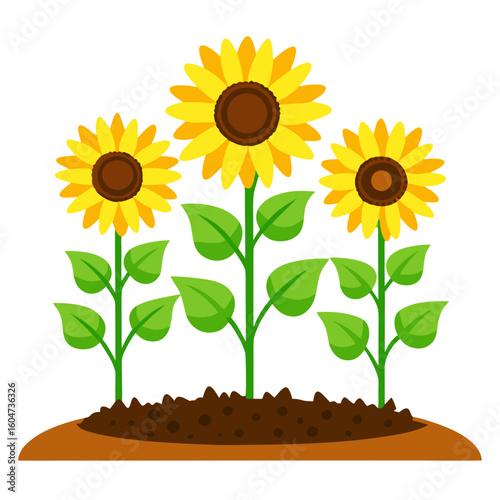 Illustration of sunflowers growing in soil vector graphic for gardening and agriculture projects