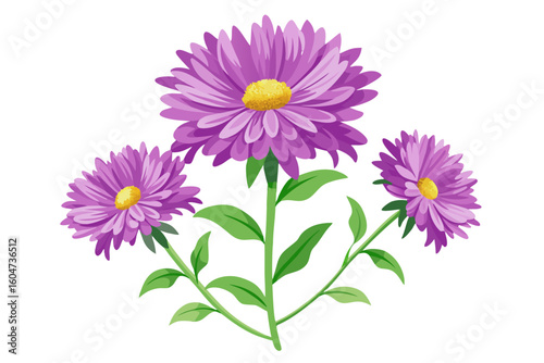 Watercolor purple aster flower illustration floral design element botanical drawing spring bloom art