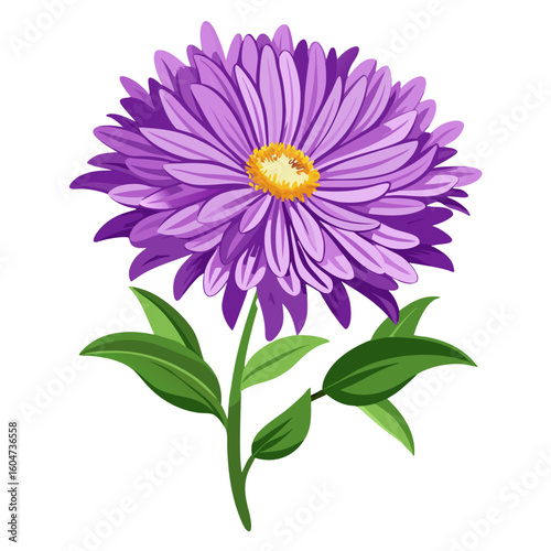 Beautiful purple aster flower drawing with green leaves vector illustration design asset art
