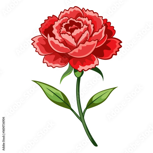 Beautiful red carnation flower illustration vector art for design elements and decoration needs