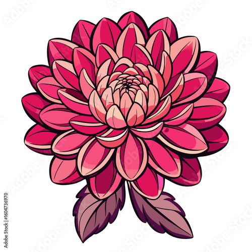 Illustration of a beautiful pink dahlia flower with intricate petals and leaves design element
