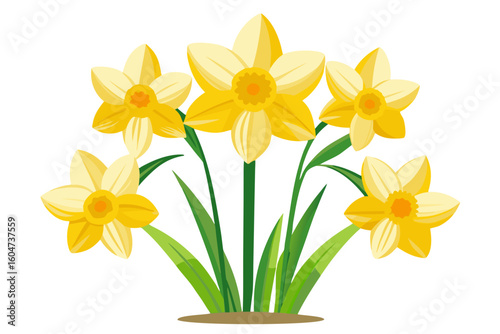 Beautiful yellow daffodil flowers illustration perfect for spring easter and floral designs