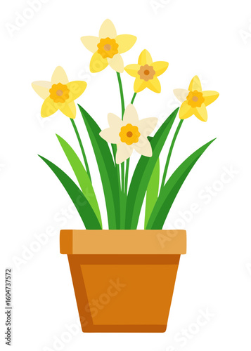 Illustration of daffodils in pot, yellow and white spring flowers in terracotta pot design element