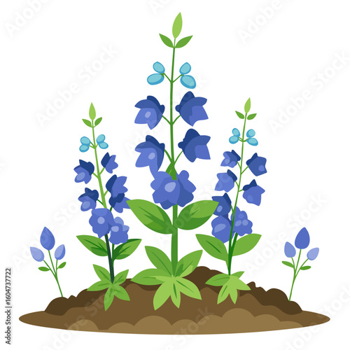 Delphinium flower garden illustration, blue delphinium flowers in soil, floral design art