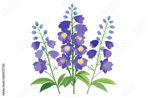 Watercolor delphinium flower illustration for floral design and botanical art projects and prints