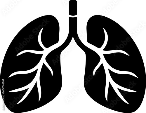 Anatomical Respiratory System Lungs Graphic