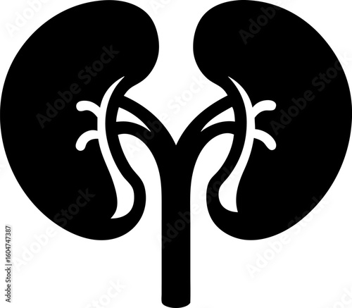 Kidney Anatomy Icon Silhouette Black and White