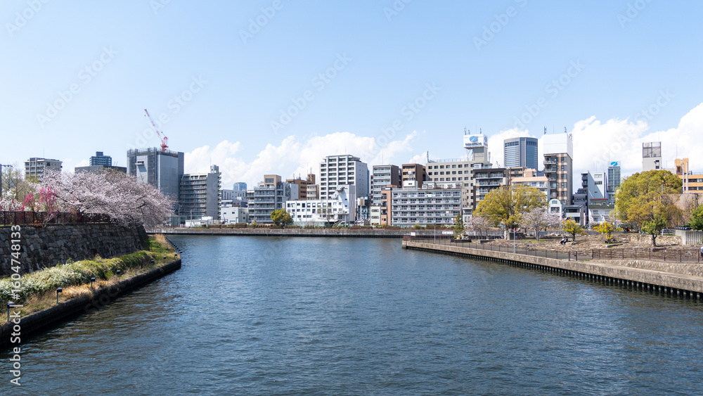Obraz premium osaka city 