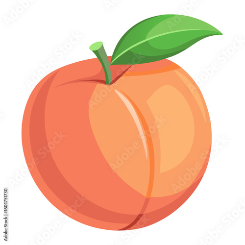 Realistic shading peach illustration for canned goods advertising banner