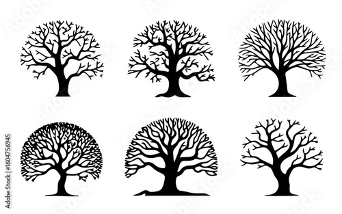 Leafless Tree Silhouette Set: Winter Branch Vector Icons in Minimalist Black Design