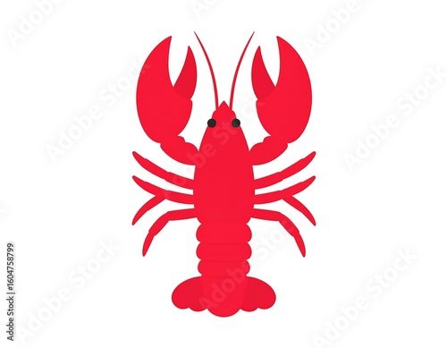 Flattened lobster illustration