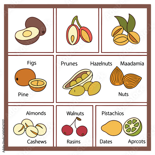 A Delicious Assortment of Healthy Dried Fruits and Nuts for Snacks