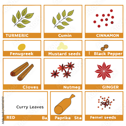 A Collection of Common Culinary Spices and Herbs for Flavorful Cooking