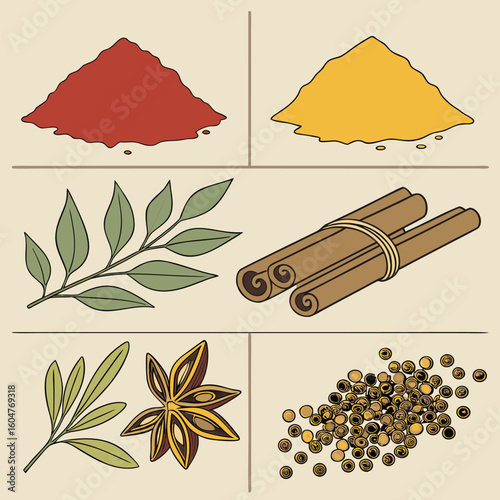 A Variety of Aromatic Spices Used for Culinary Flavor Enhancement