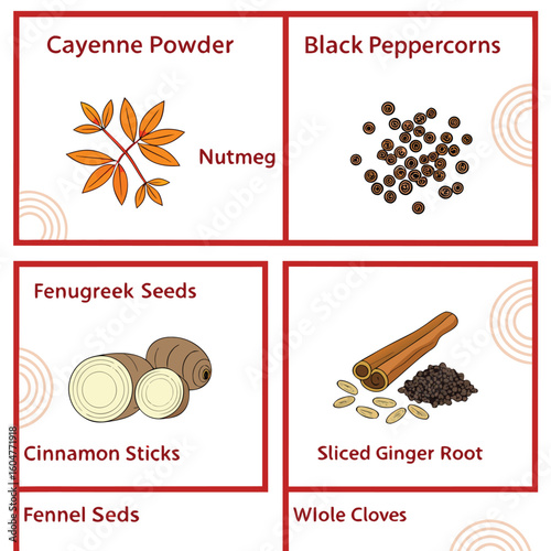 A Collection of Popular Spices Used in Cooking and Flavoring Food