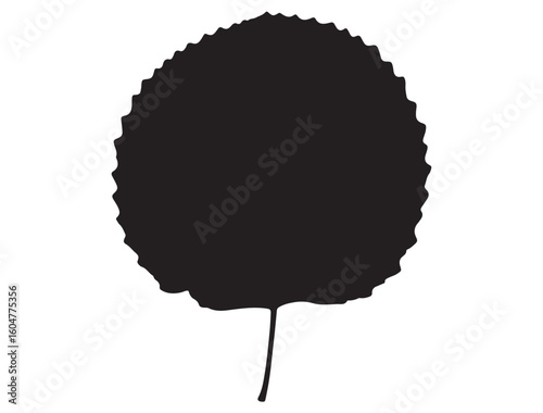 ASPEN LEAF SILHOUETTE