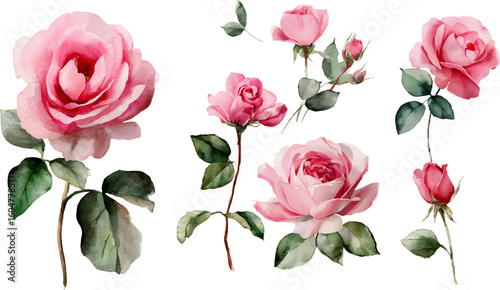 bouquet of pink roses