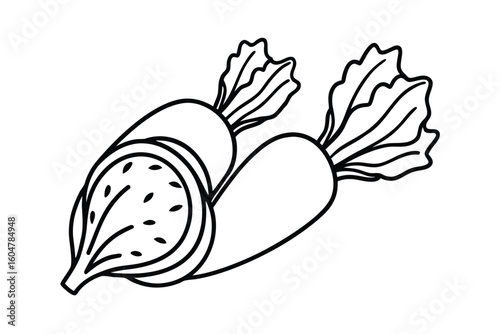 Root Veggie Cross Sections Flat White Background