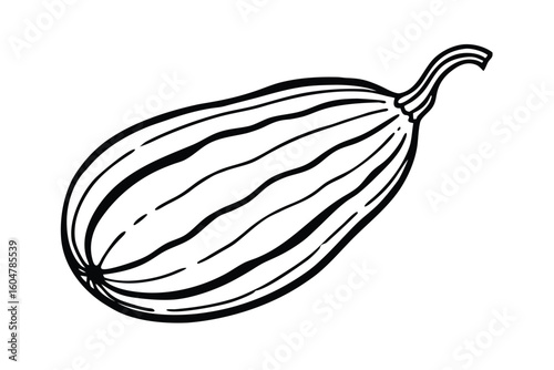 Ridge Gourd Green And Whole White Background