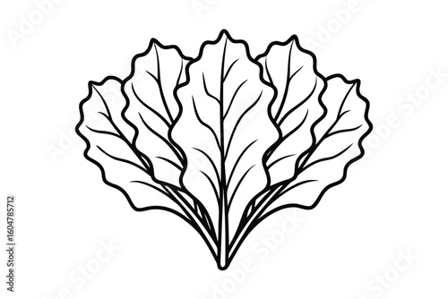 Red Swiss Chard Leaves Flat Vector No Text