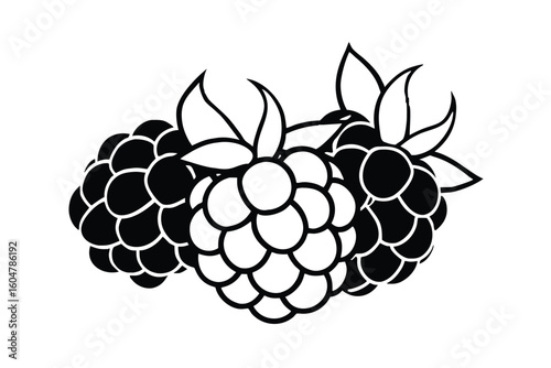 Raspberries In Cluster Vector Style No Text
