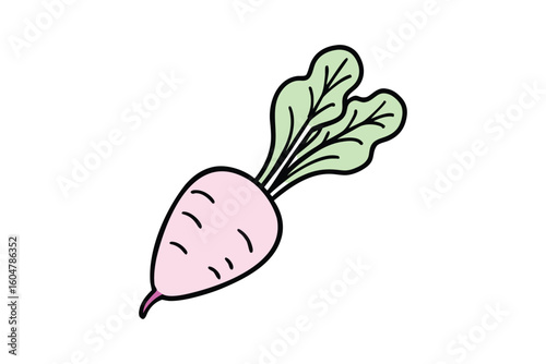 Radish With Pink Skin And Greens Flat Cartoon