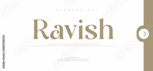 Ravish Elegant Font Uppercase Lowercase and Number. Classic Lettering Minimal Fashion Designs. Typography modern Serif fonts regular decorative vintage concept.

