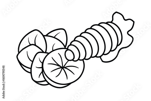 Ginger Root With Slices Clean Vector No Text