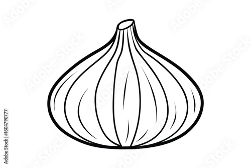 Garlic Bulb With Slight Shading Clean