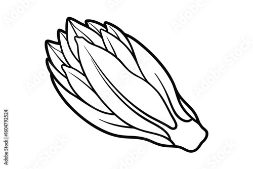 Endive In Flat Design No Text No Background