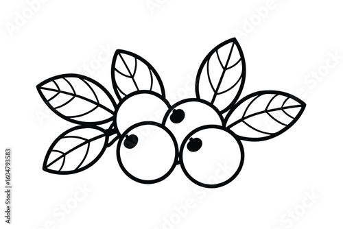 Cranberries With Green Leaf Flat Illustration
