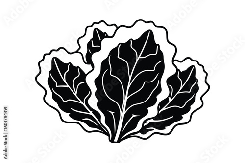 Collard Greens Flat Style No Text