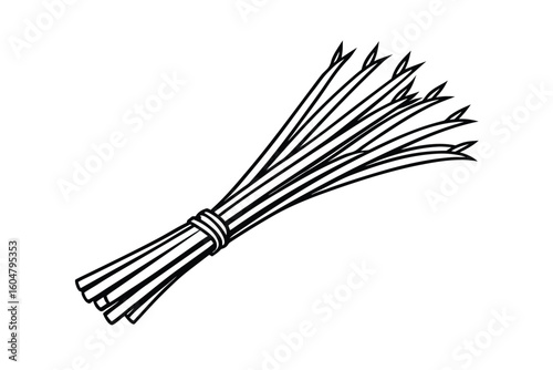 Chives Bundle With White Background No Text