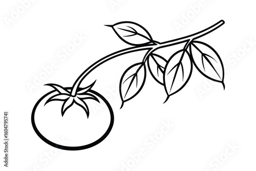 Cherry Tomato On Vine Simple Clean Vector
