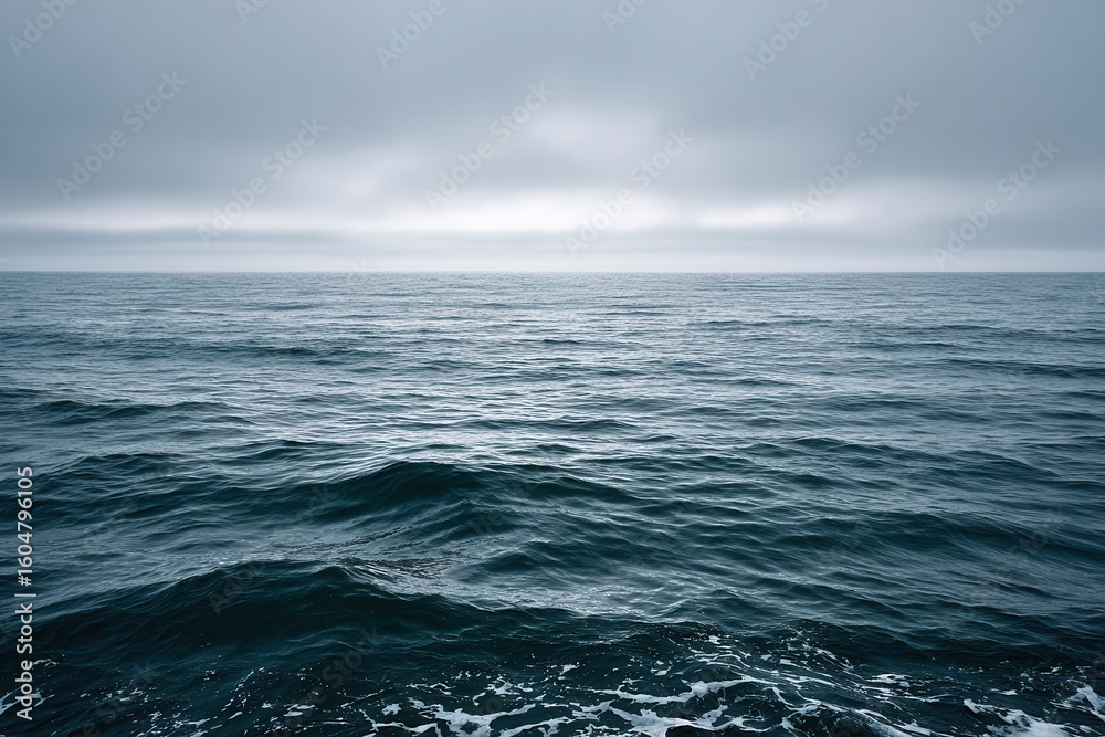 Fototapeta premium Vast open ocean under cloudy sky with gentle waves.